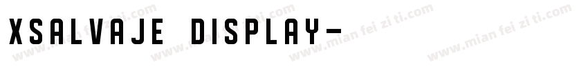 xsalvaje display字体转换